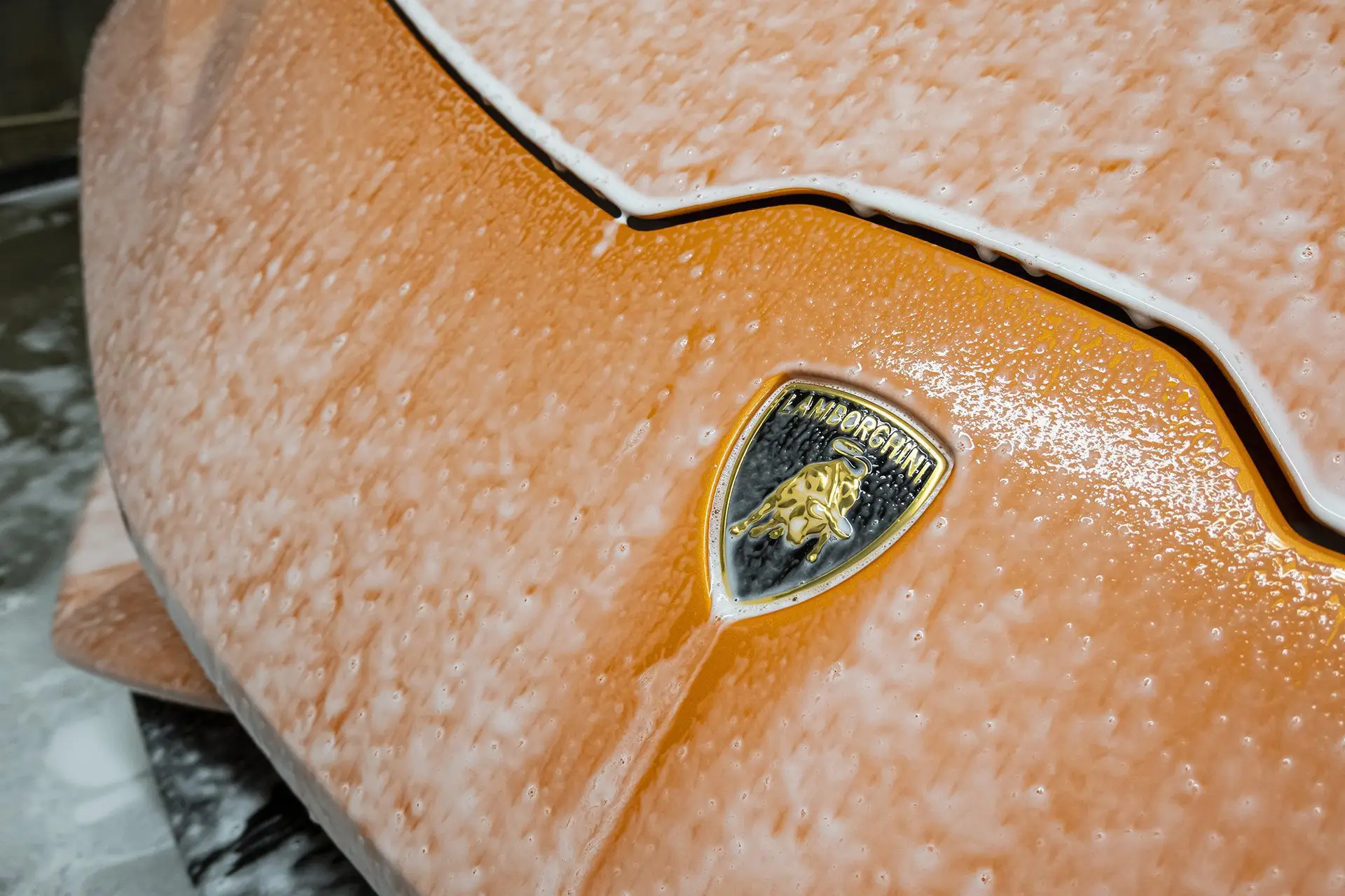 Lamborghini after a concourse detail by ST6 Detailers
