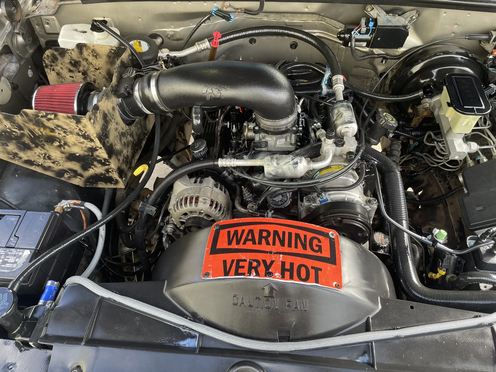 Cleaned V8 engine bay after an ST6 engine detail