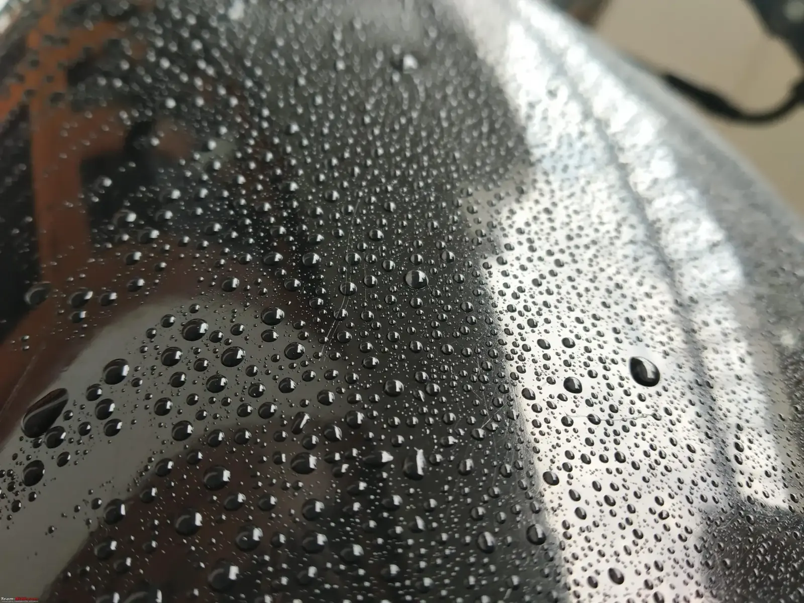 Water beading tightly on ceramic coated paint by ST6 Detailers in Colorado Springs