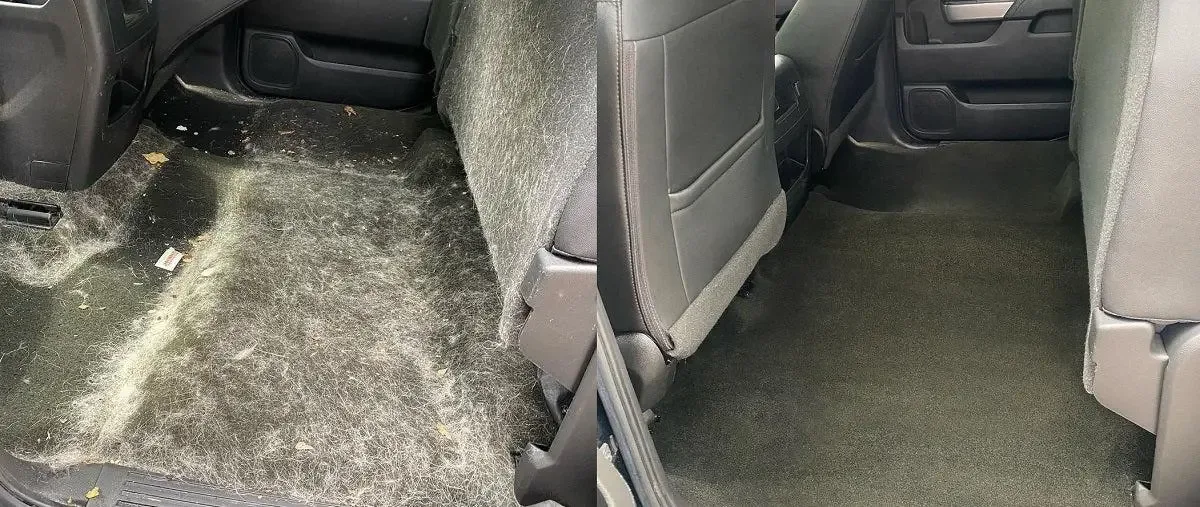 Rear carpet before and after pet hair removal