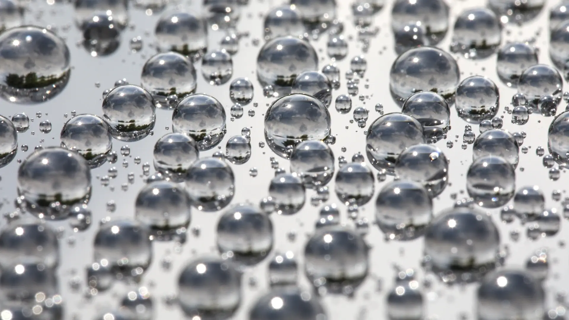 Water beading on Gtechniq ceramic coated paint