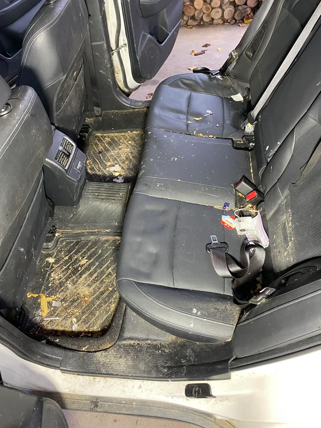 Subaru black leather rear seats and floor mats with dirt and debris before cleaning
